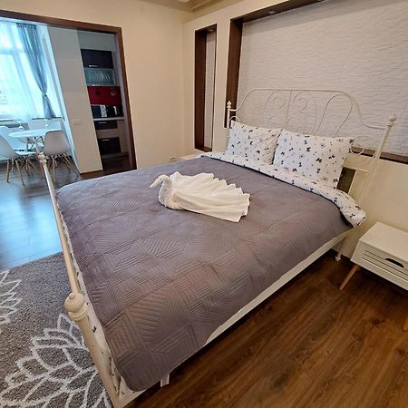 Garsoniera Cocheta Apartment Brașov Exterior foto